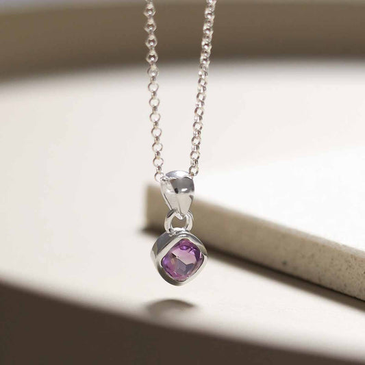 MW02_Sterling Silver Amethyst Birthstone Necklace (February)_belcher_2