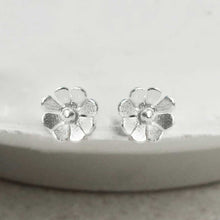 MS1217S STERLING SILVER DAINTY DAISY STUDS 1110X1110 2