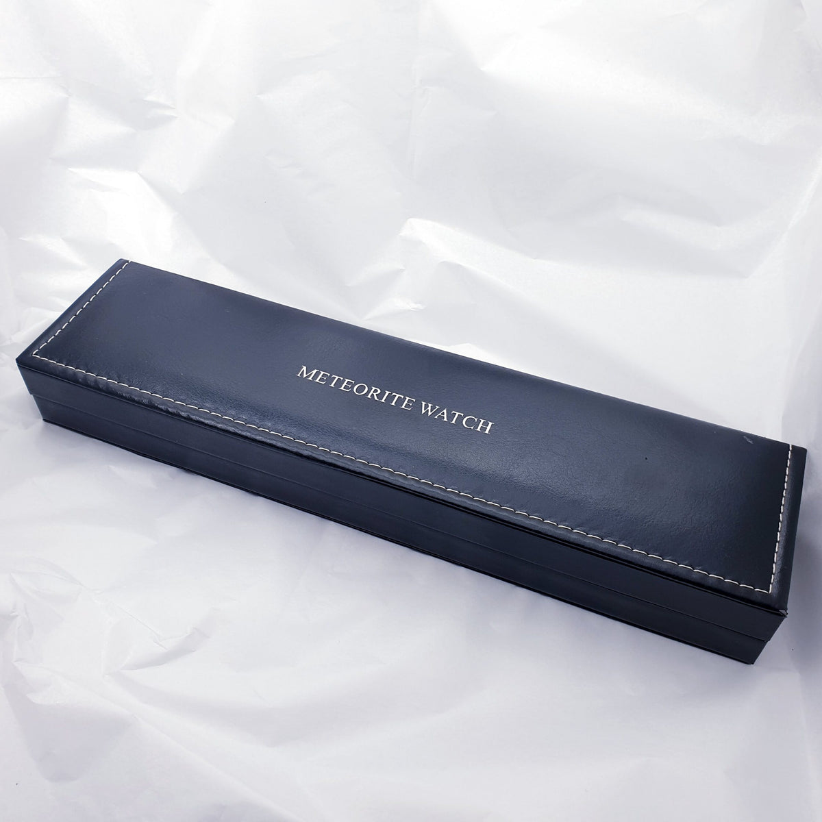 Delux Muonionalusta Meteorite Watch