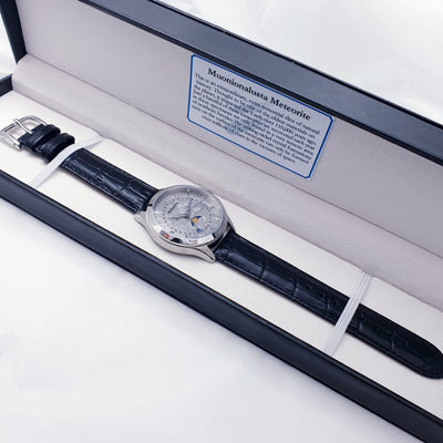 Delux Muonionalusta Meteorite Watch MH683 1 scaled