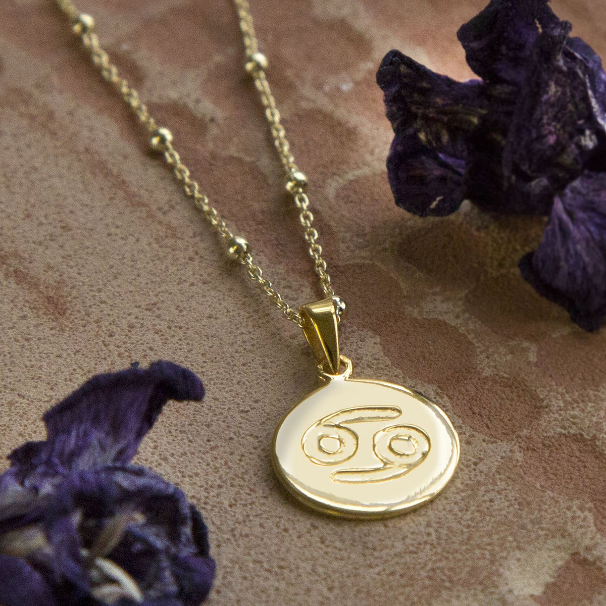 Gold Plated Sterling Silver Cancer Star Sign Necklace
