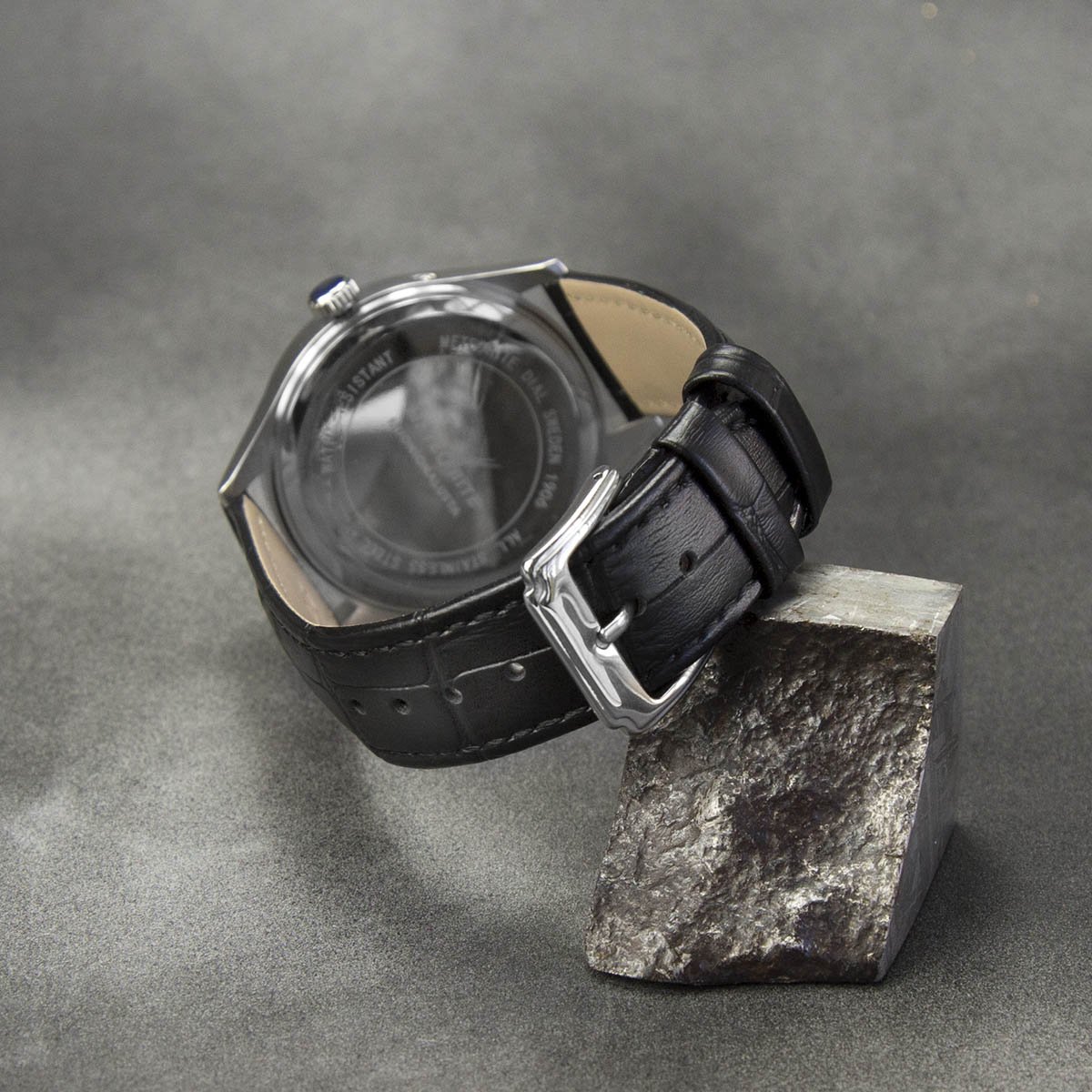 Delux Muonionalusta Meteorite Watch