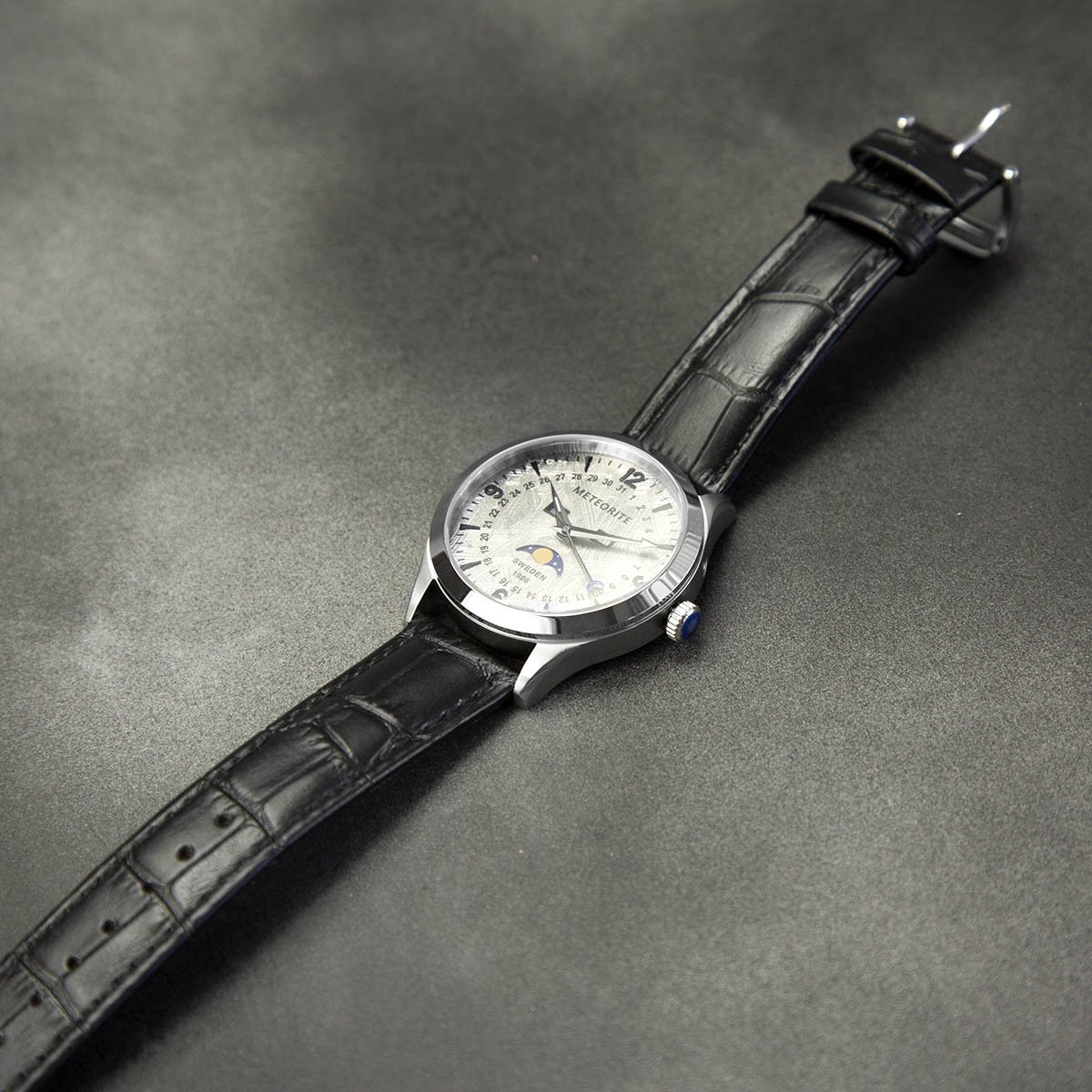 Delux Muonionalusta Meteorite Watch