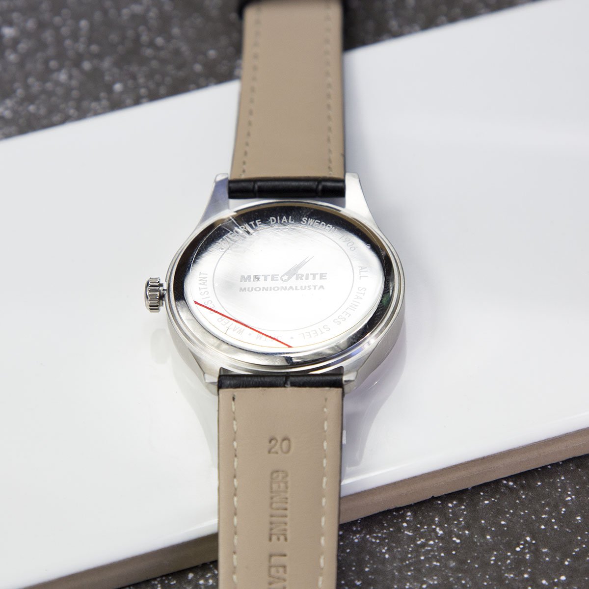 Delux Muonionalusta Meteorite Watch