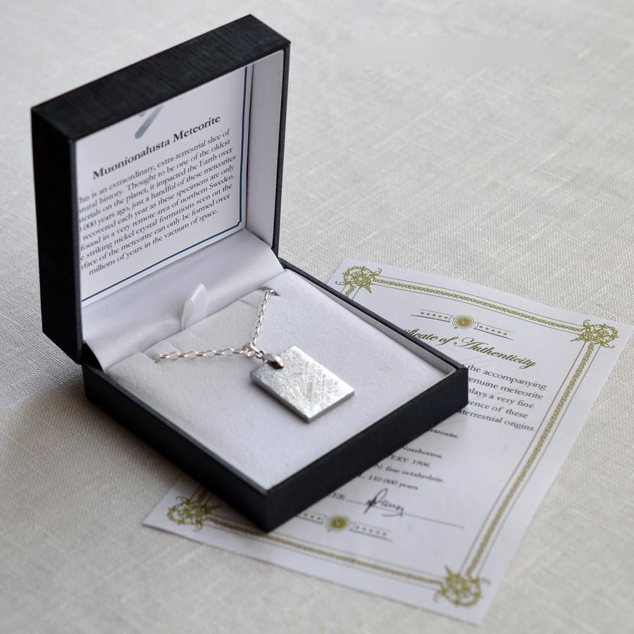 Muonionalusta Meteorite Sterling Silver Tipped Necklace