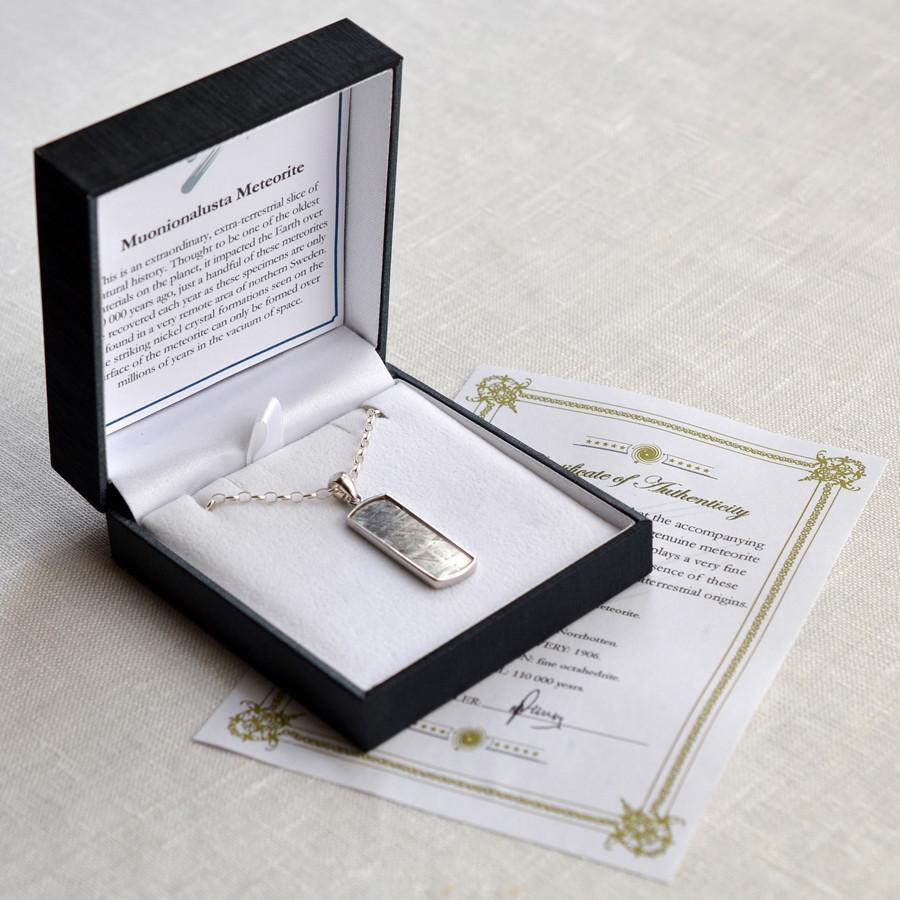 Muonionalusta Meteorite Rectangular Necklace