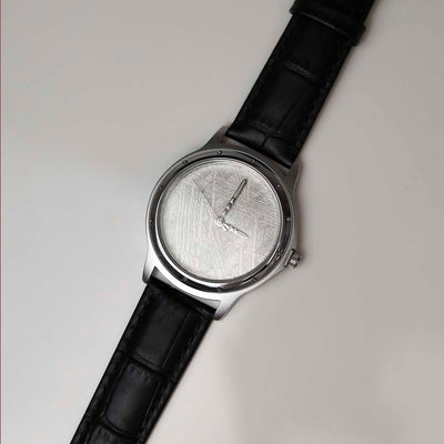MH657W Muonionalusta Meteorite Watch 2