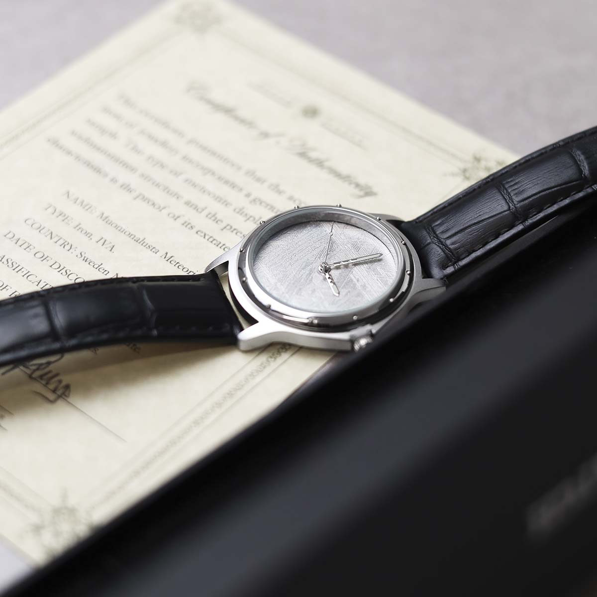 Muonionalusta Meteorite Watch