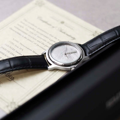 MH657W Muonionalusta Meteorite Watch 7