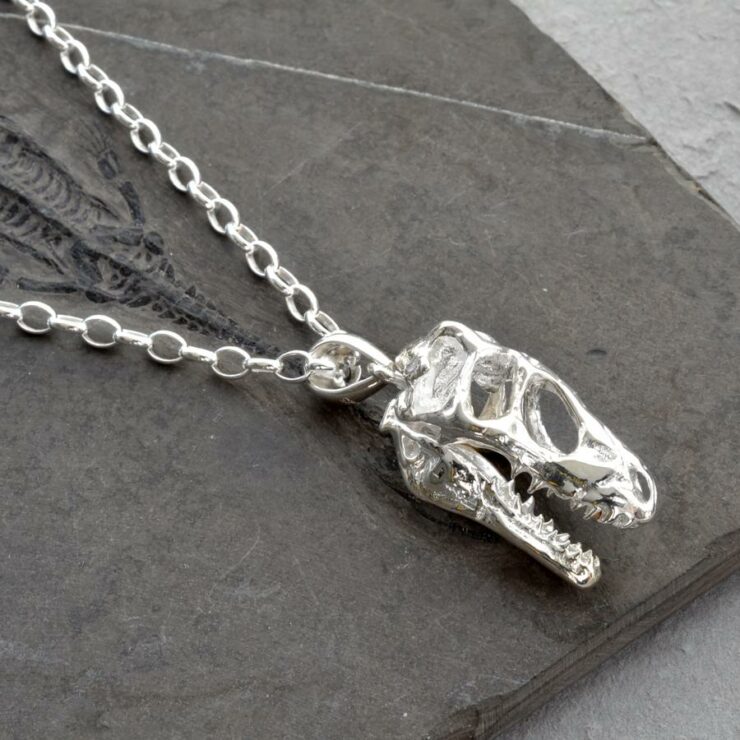 Resin Dinosaur Head Necklace | Wholesale Resin Dinosaur Head Necklace –  Cool Jewels