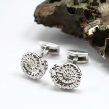MA40C SILVERAMMONITECUFFLINKS 004