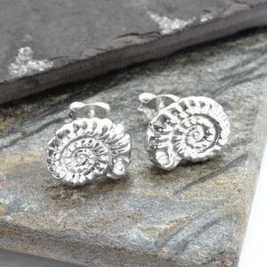 Silver Ammonite fossil stud earrings