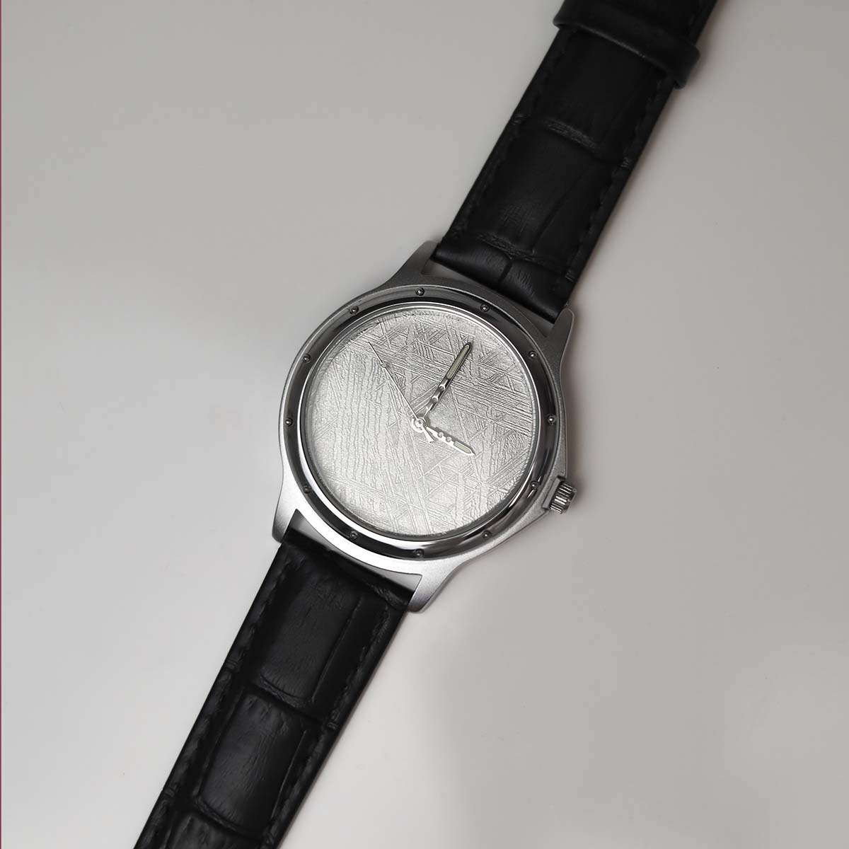 Muonionalusta Meteorite Watch | Martha Jackson