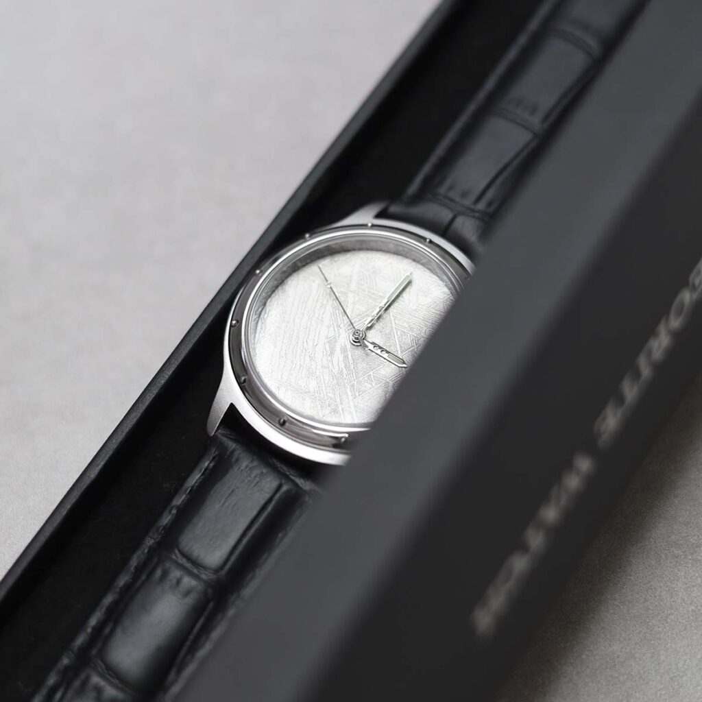 Muonionalusta Meteorite Watch in box
