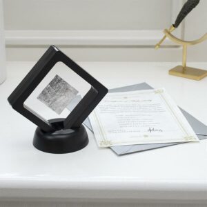 Meteorite Slice in Black frame on Desk with Certificate