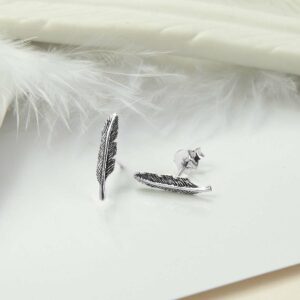 Small Silver feather  with White ceramic feather and white feather as background