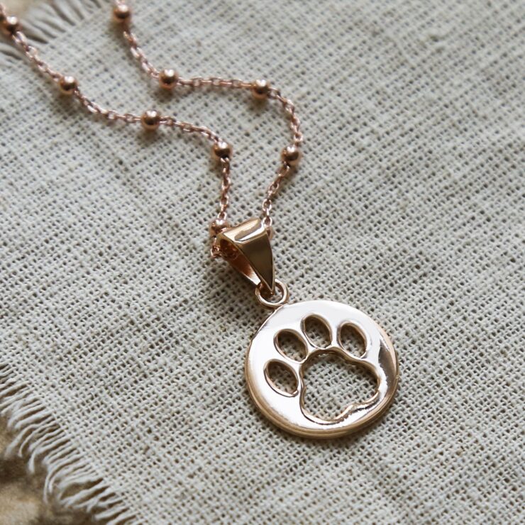 Buy Dog Paw Gold Necklace. Animal Lover Gift. Gift for Dog Owners. Cat  Owners Jewellery. Cat Paw Print Necklace. Silver Dog Lover Necklace Online  in India - Etsy