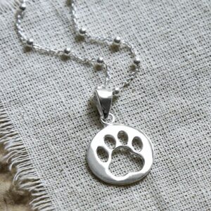 pawsilver2