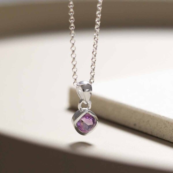 Sterling Silver Amethyst Birthstone Necklace hanging